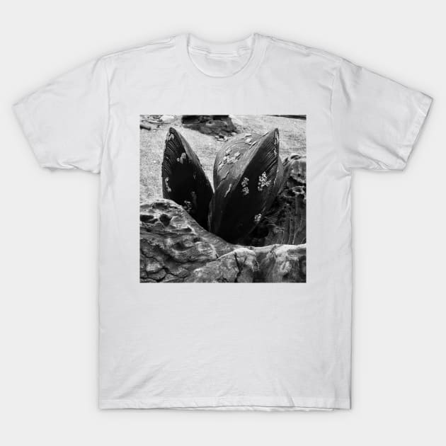 Mussels Sculpture. Vladivostok Oceanarium T-Shirt by IgorPozdnyakov